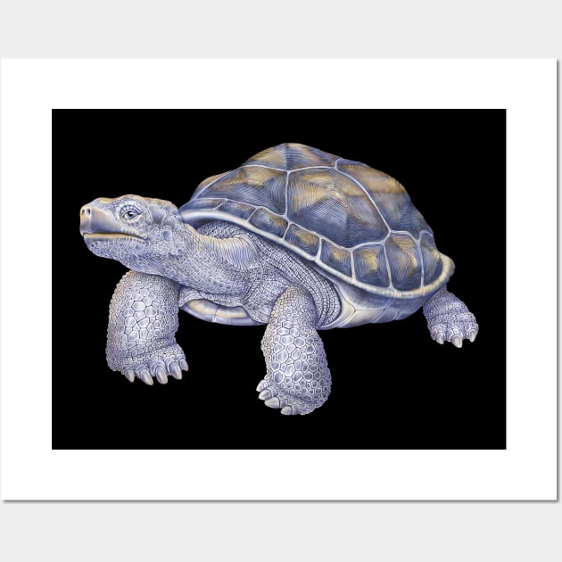 Tortoise Wall Art by Tim Jeffs Art